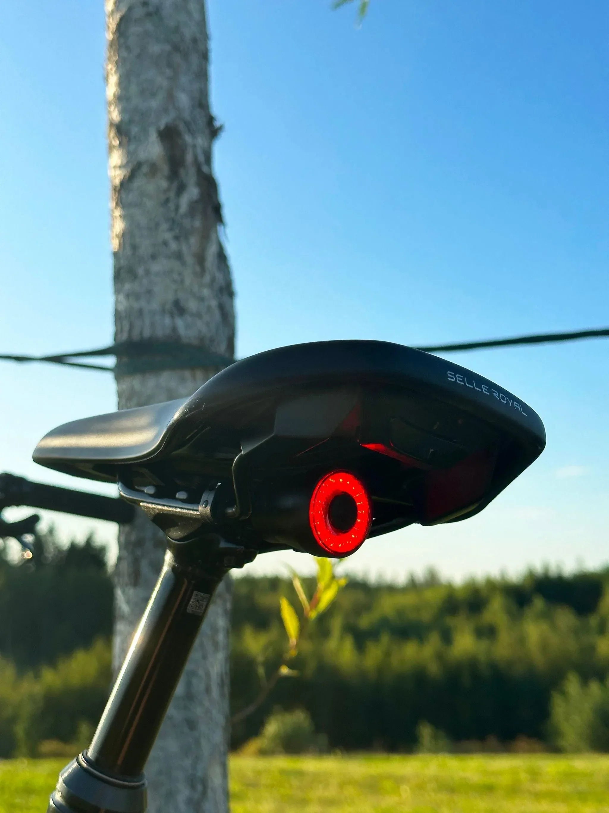 Light5 Pyörän takavalo Blip, 60 lm - Puutarhakone