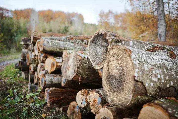 STIHL pinotavarasakset FP 30 -29cm - Puutarhakone