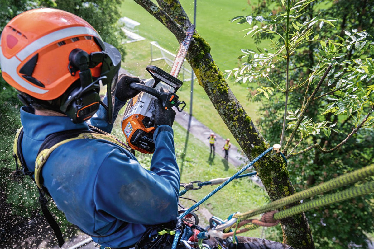 STIHL MSA 240.0 TC-O akkusaha -runko