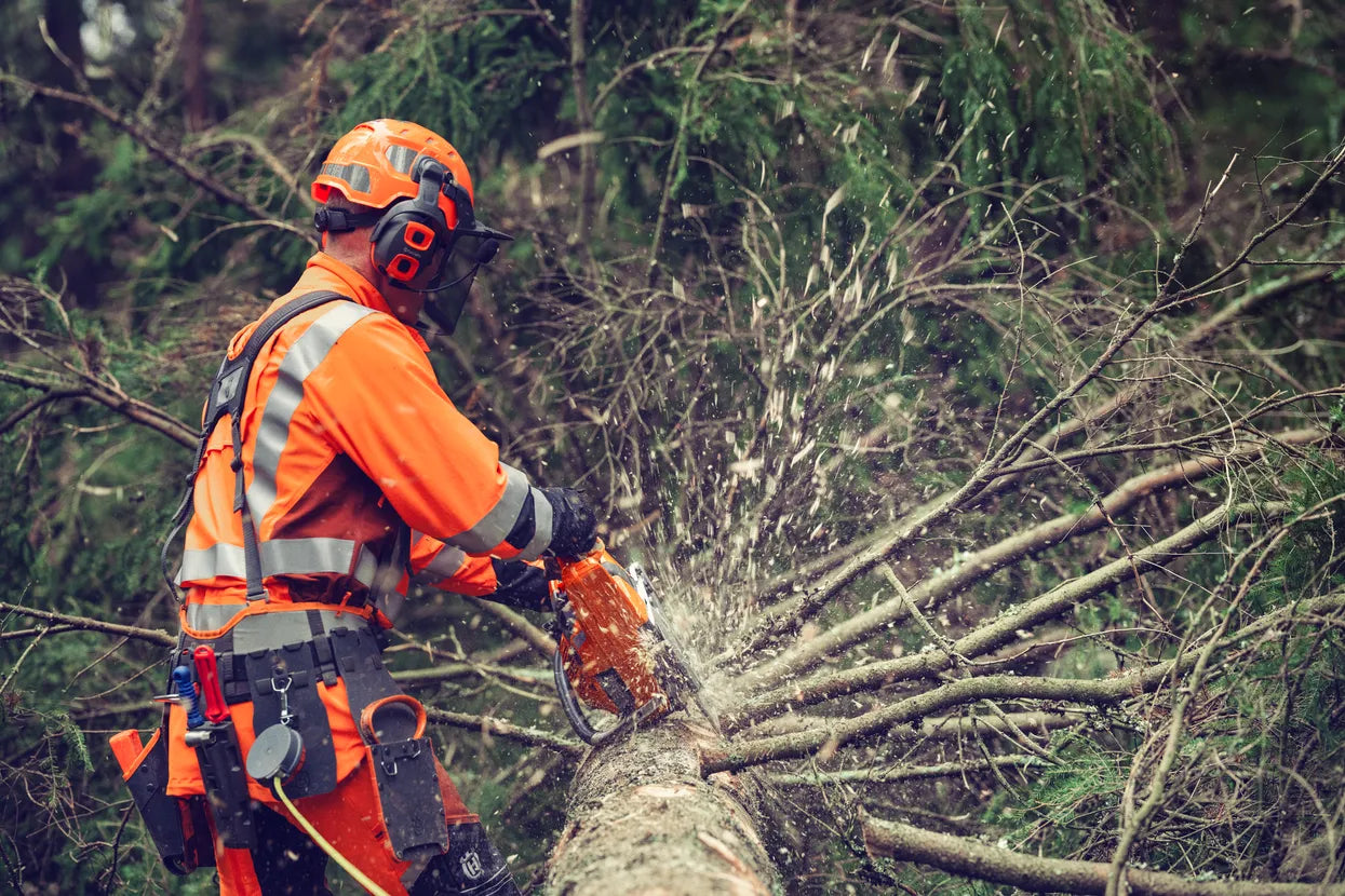 Husqvarba 564XPG -ruisku moottorisaha 20"