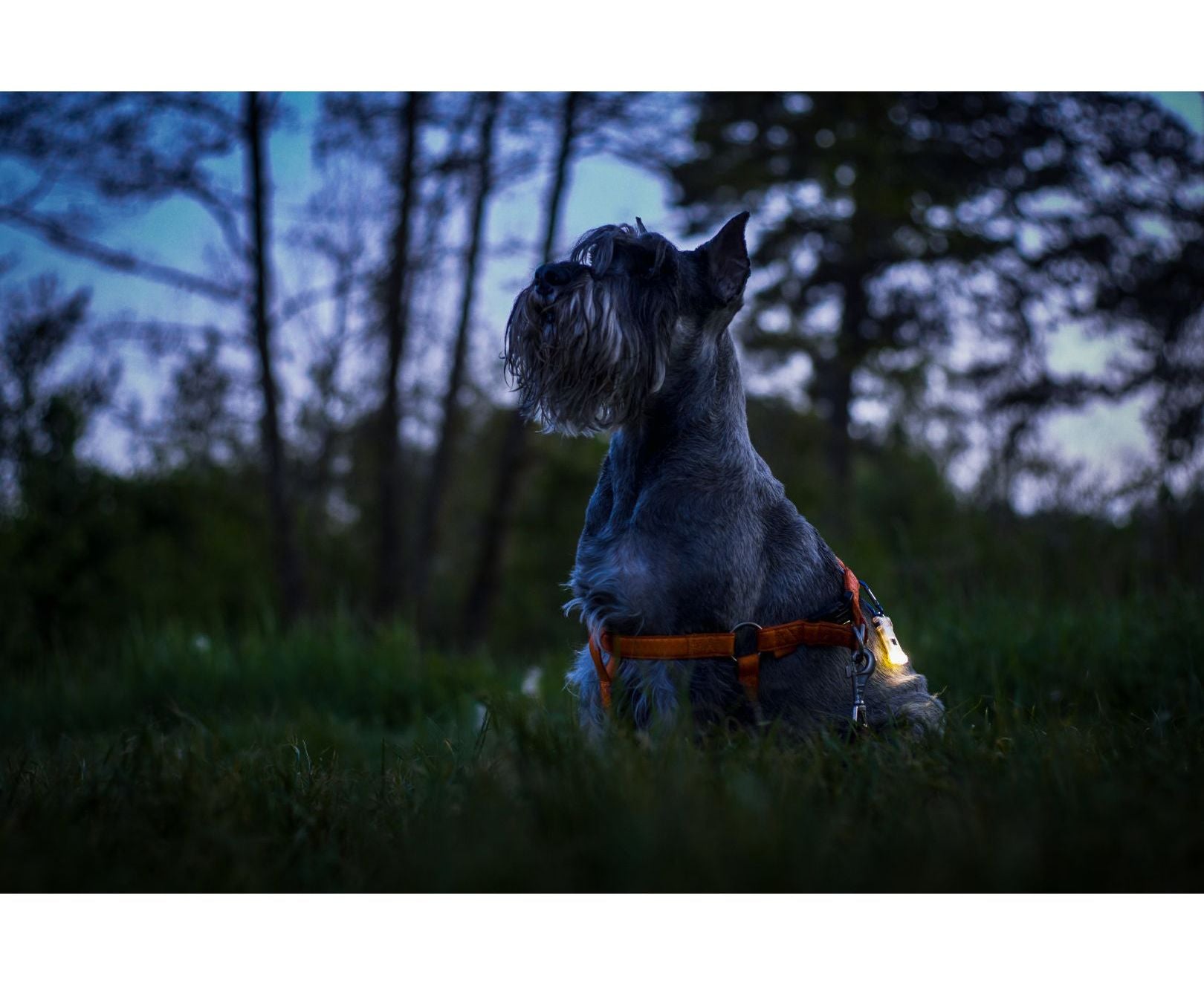 ARMYTEK Zippy ES set